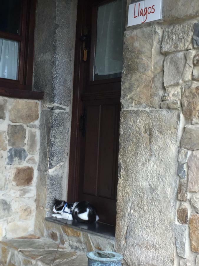 La Xamoca Apartamentos Rurales Campiellos ภายนอก รูปภาพ